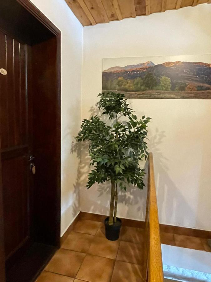 Vila Sofia Predeal Exterior foto